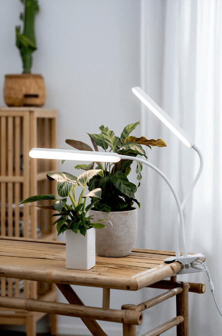 Plantlamp Tulip Wit Van Airam - De armatuur heeft een 3-staps timer (8/12/16 uur) en een aanraakdimmer op de 5 stappen.