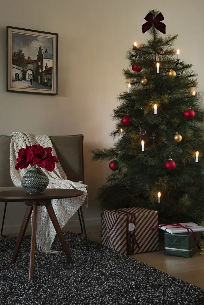 Kerstboomverlichting Warmwit 25LED 18m Groente Van Konstsmide - Klassieke kerstboomverlichting voor binnen met 25 warmwitte LED-lampjes die een zacht en sfeervol licht geven.