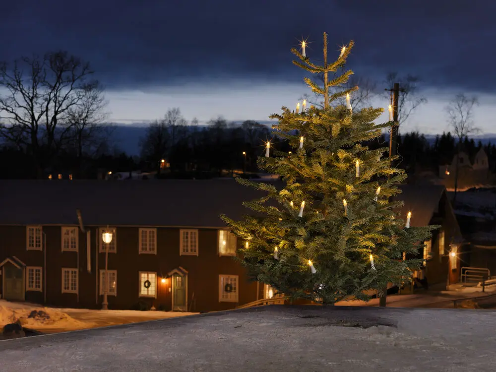Kerstboomverlichting Warmwit 25LED 20m Groente Van Konstsmide - Kerstboomverlichting met 25 warmwitte DC LED-lampjes voor een klassieke en sfeervolle boom.