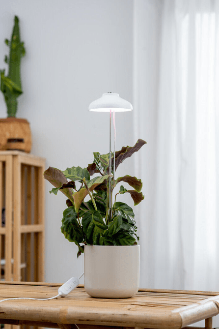 Plantlamp Iris Wit Van Airam - De pot op de afbeelding is niet inbegrepen.