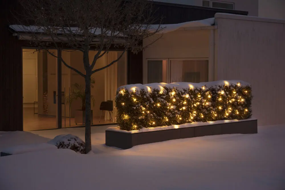 Lichtnet amber 3m Zwart Van Konstsmide - Sfeervolle verlichting met 96 amberkleurige LED-lampjes &ndash; Ideaal voor het decoreren van struiken, hekken of muren.
