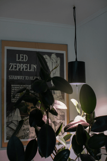 Plantlamp Fiora Zwart Van Airam - Het armatuur is voorzien van een hoogglansreflector en een LED-kweeklamp die een aangenaam licht voor de ogen geeft en tegelijkertijd uw planten stimuleert om beter en sneller te groeien.