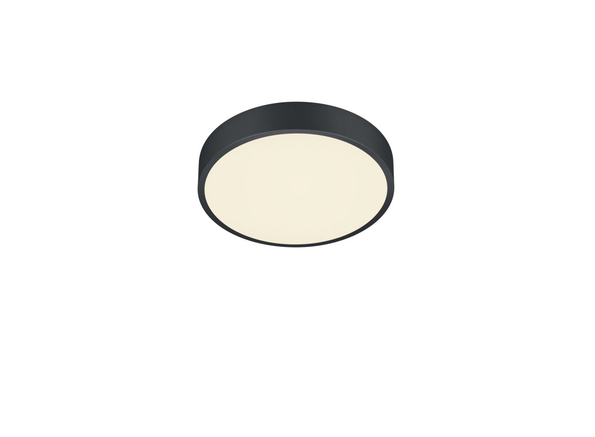 Waco Ø30 Zwart plafondlamp Van Trio Lighting - 