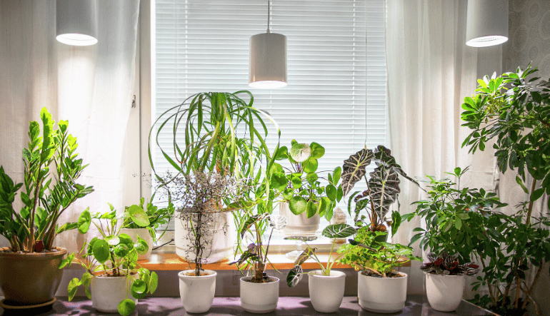 Plantlamp Fiora Wit Van Airam - Het armatuur is voorzien van een hoogglansreflector en een LED-kweeklamp die een aangenaam licht voor de ogen geeft en tegelijkertijd uw planten stimuleert om beter en sneller te groeien.