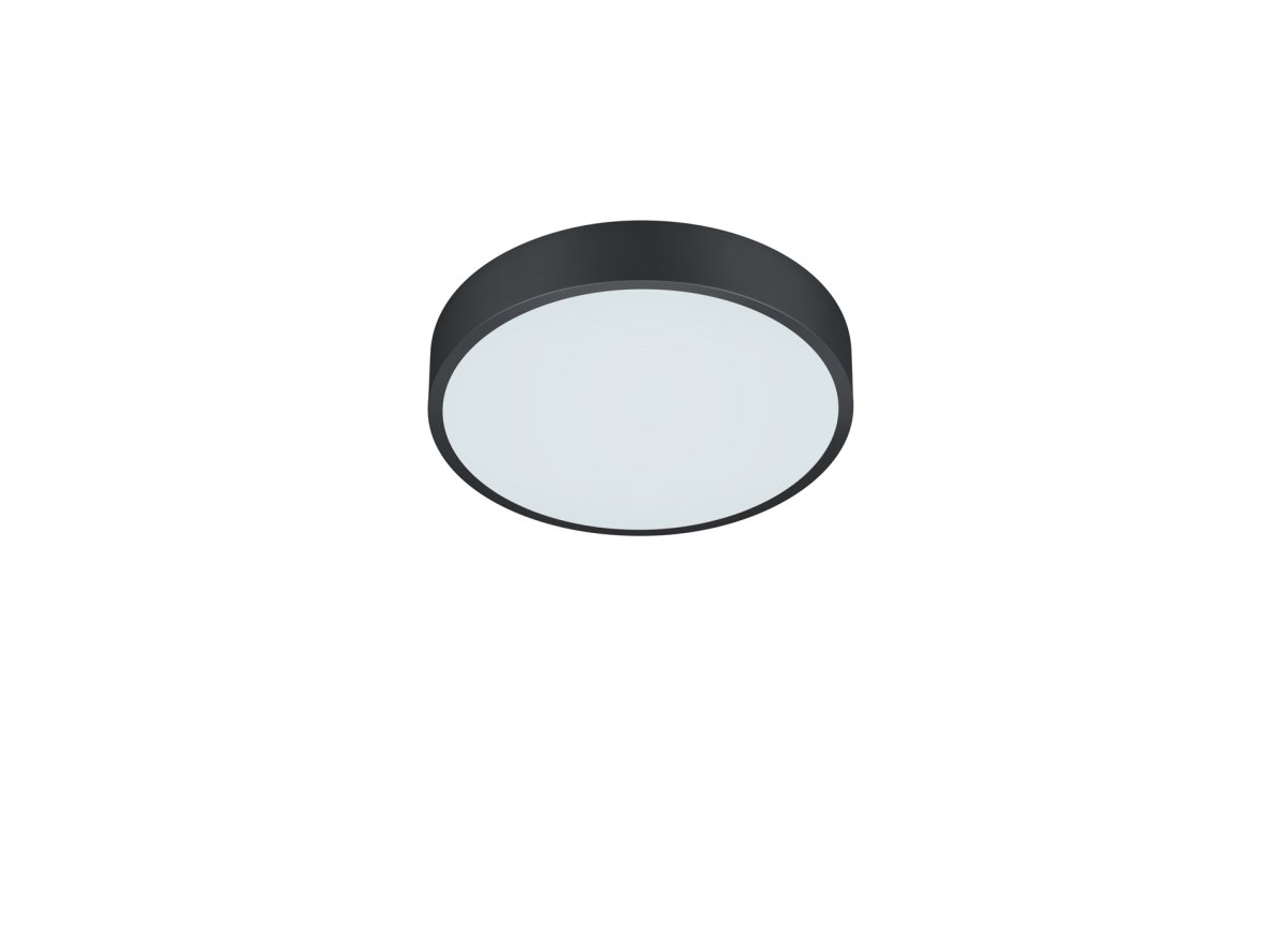 Waco Ø30 Zwart plafondlamp Van Trio Lighting - 