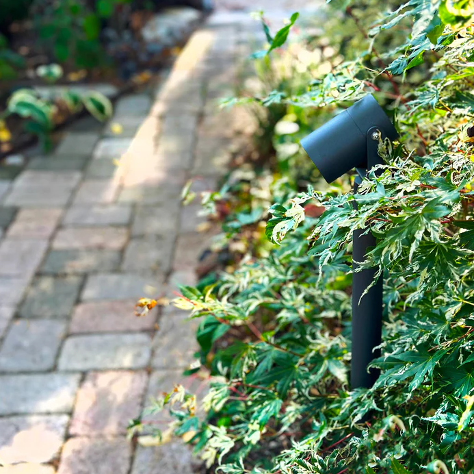 Luna65 Donkergrijs Van Lightson - &nbsp;Under vinterhalv&aring;ret n&auml;r sn&ouml;n t&auml;cker marken &auml;r Luna 65 ett utm&auml;rkt alternativ, eftersom den d&aring; kommer upp ovanf&ouml;r sn&ouml;t&auml;cket och skapar en magisk st&auml;mning i vinterlandskapet.