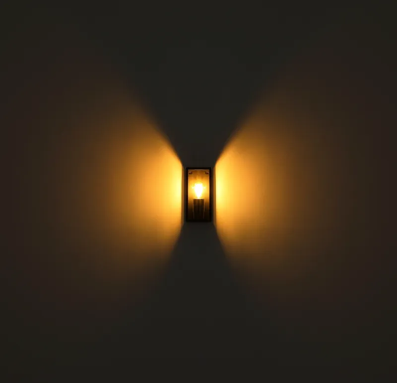 Logana Zwart buitenlamp Van Globo Lighting - Med sin rektangul&auml;ra design och transparenta sk&auml;rm sprider den ett klart och stilrent ljus, perfekt f&ouml;r allt fr&aring;n tr&auml;dg&aring;rdar till uppfarter.
