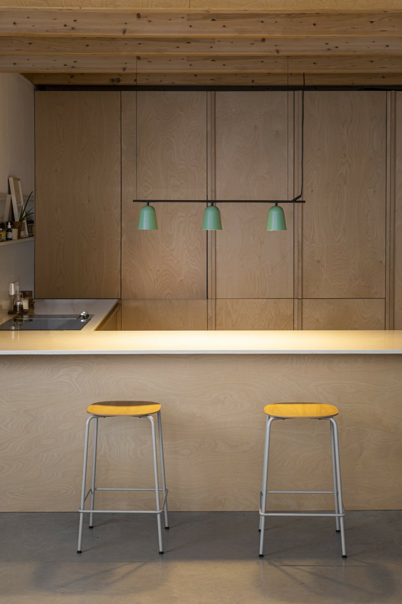 Studio 92cm Groente hanglamp Van Faro Barcelona - De unieke kabelklem in de vorm van een boomtak geeft de lamp een persoonlijk en speels karakter.
