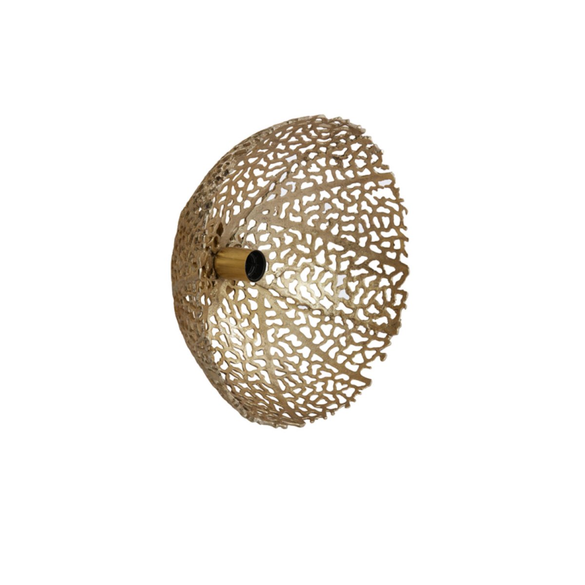 Sinula Ø40 Goud wandlamp Van Light & Living - 