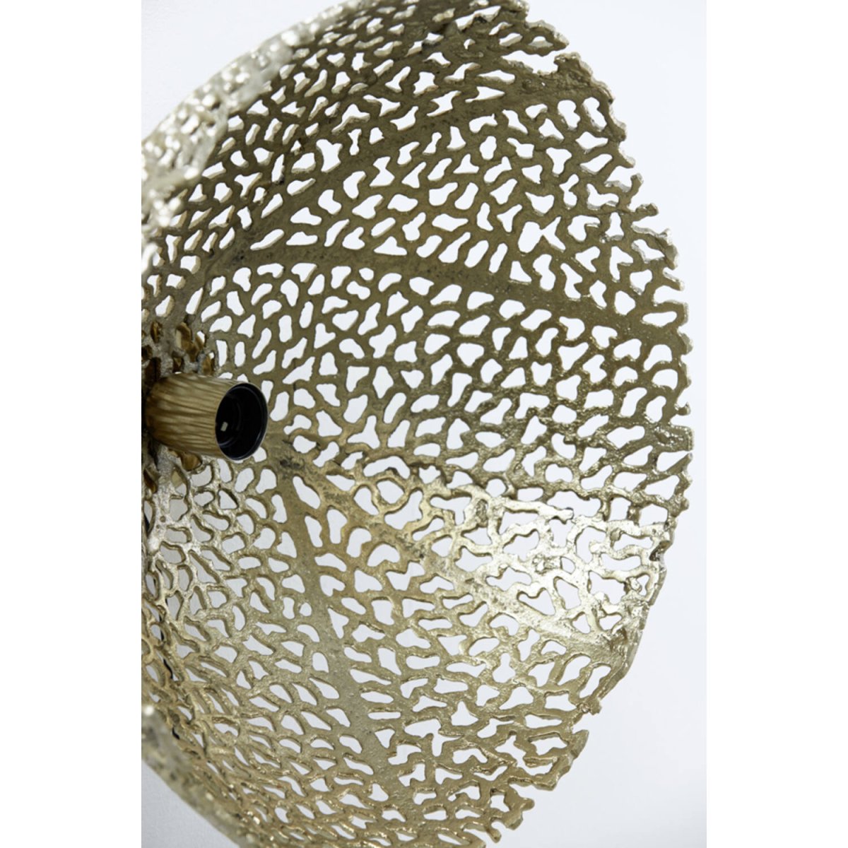 Sinula Ø40 Goud wandlamp Van Light & Living - 