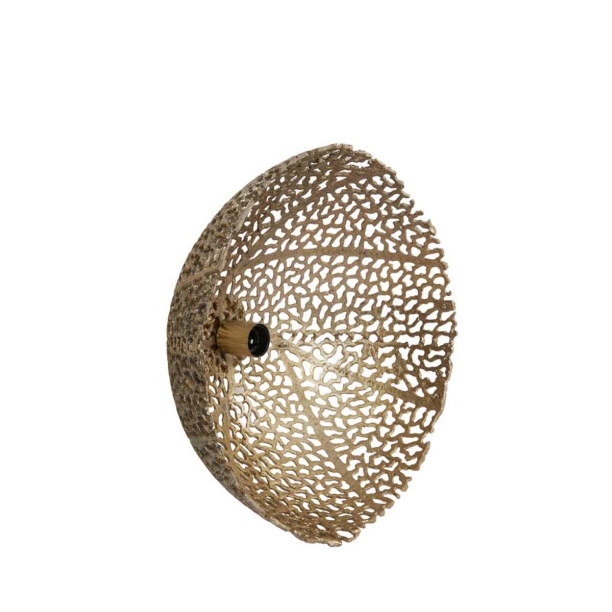 Sinula Ø45 Goud wandlamp Van Light & Living - 