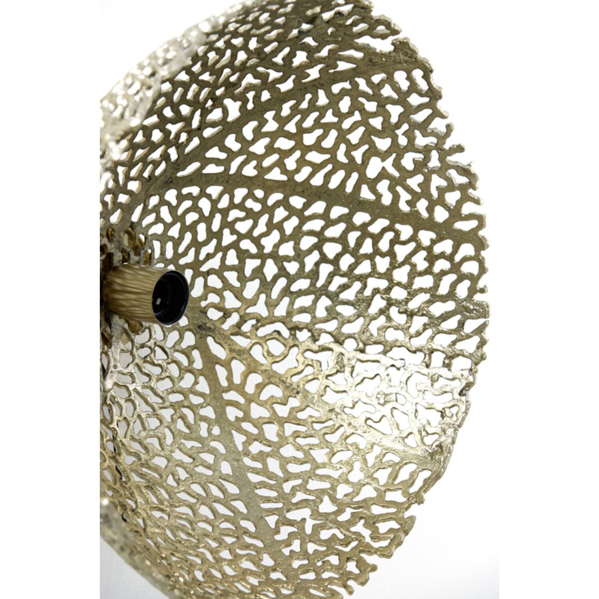 Sinula Ø45 Goud wandlamp Van Light & Living - 