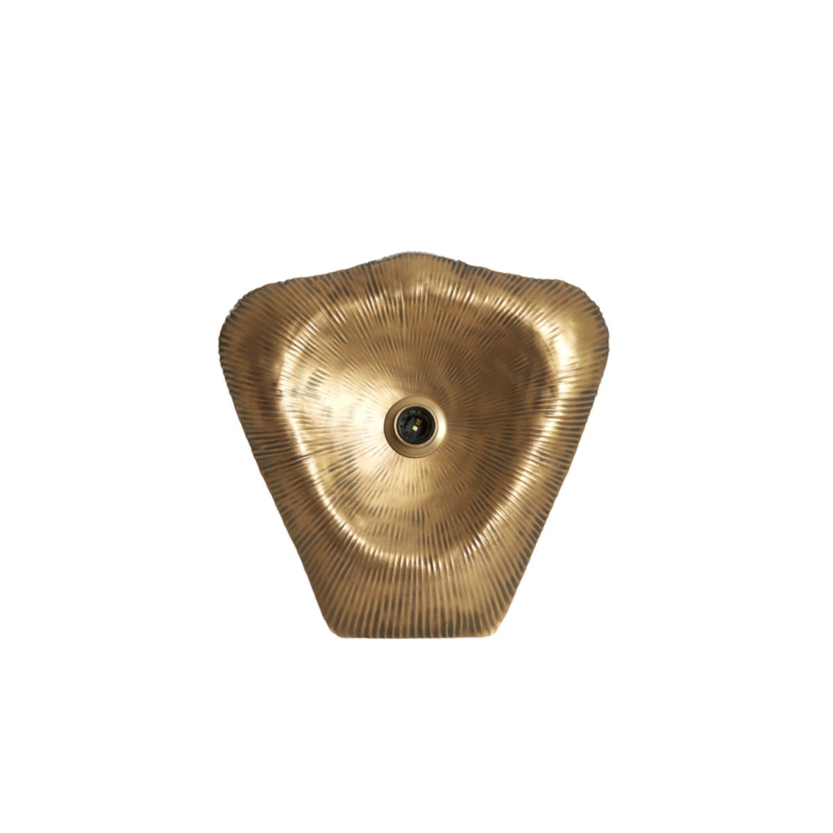 Amadi 40cm Bronzen wandlamp Van Light & Living - 