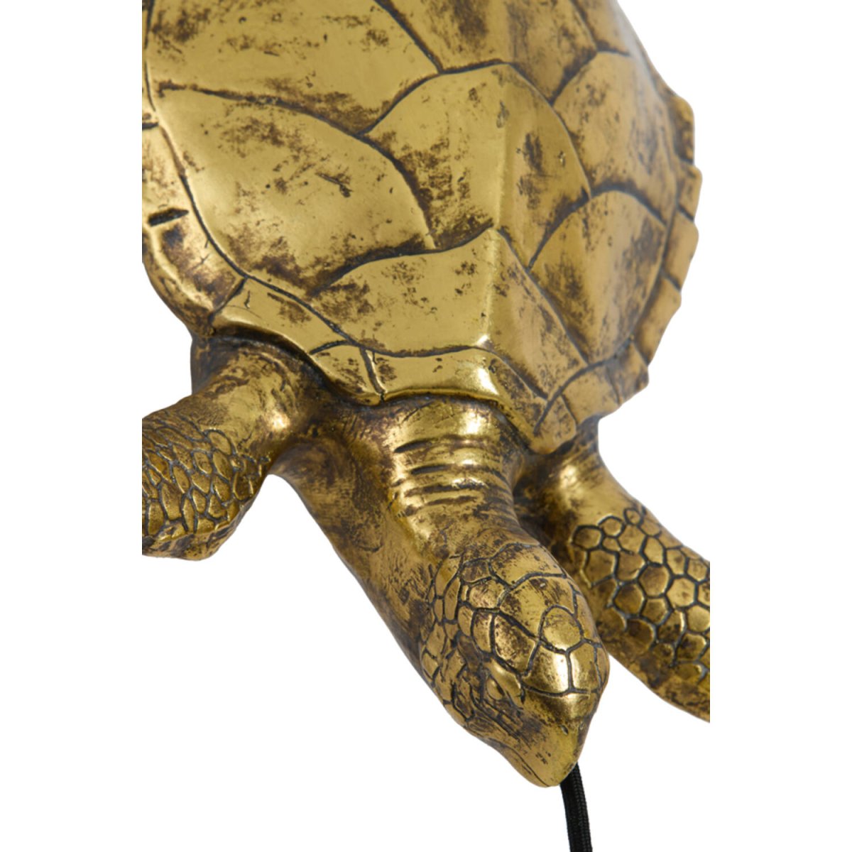 Turtle 20cm Bronzen wandlamp Van Light & Living - 