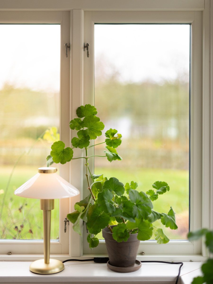 August 34cm Messing tafellamp Van PR Home - De lichtbron is omhuld door een glazen buis die een prachtig licht verspreidt in de lampenkap.