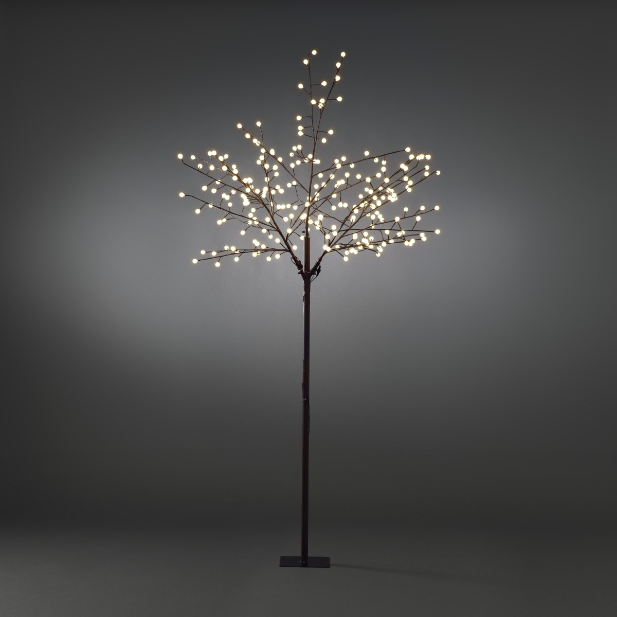 Bruine Boom 250cm Bruin Van Konstsmide - Cre&euml;er een sfeervolle sfeer met deze lichtslinger &ndash; Een decoratieve favoriet tijdens de kerstperiode en het hele jaar door!