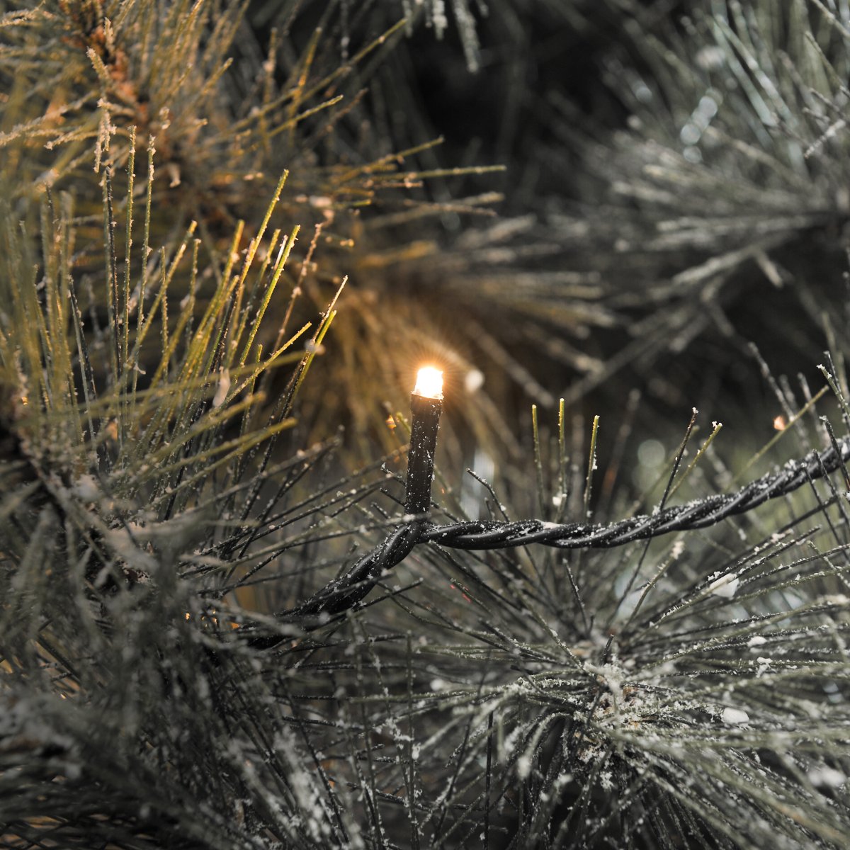 Lichtsnoer 100 LED amber 15m Groente Van Konstsmide - De lampjes hebben elk een lichtopbrengst van ongeveer 5 lumen en zijn met tussenafstanden van 10 cm geplaatst langs de 10 meter lange slinger.