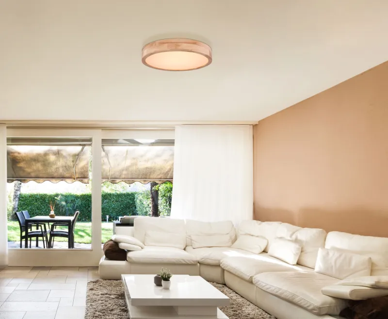 Rainer Ø40 Natuur plafondlamp Van Globo Lighting - Lampan har &auml;ven en f&auml;rgv&auml;xlingsfunktion med m&ouml;jlighet att fixera en vald f&auml;rg, vilket g&ouml;r den b&aring;de flexibel och funktionell.