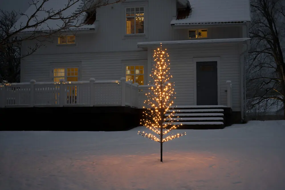 Zwart Hout 210cm Zwart Van Konstsmide - Een elegante, zwarte decoratieve boom die de winter verlicht met 504 warme, amberkleurige LED-lampjes met een vast en vuurvliegeffect.