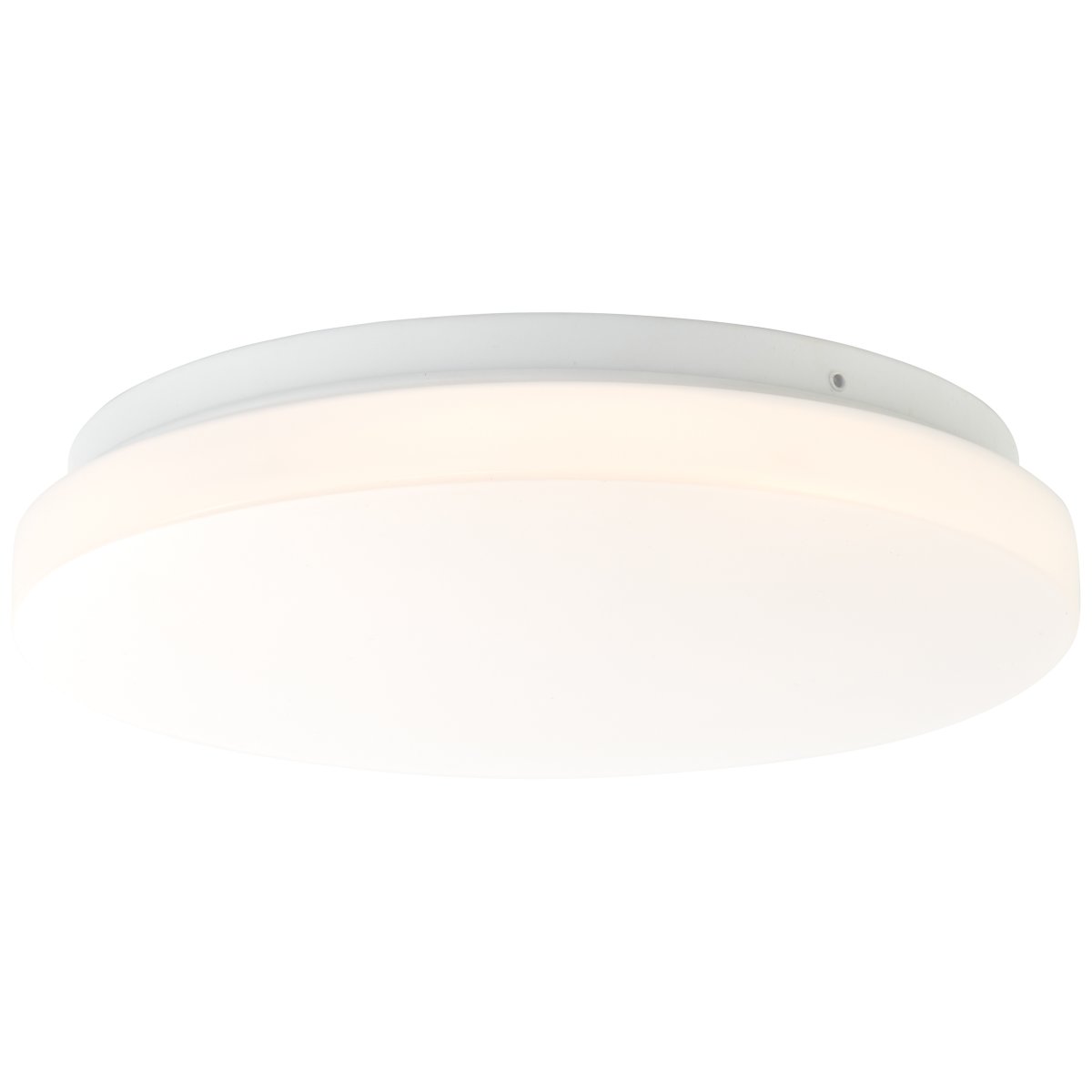 Farica Ø26 Warm wit plafondlamp Van Brilliant - De Farica plafond- en wandlamp heeft een stijlvol en functioneel design en is geschikt voor zowel privé- als commerciële ruimtes.