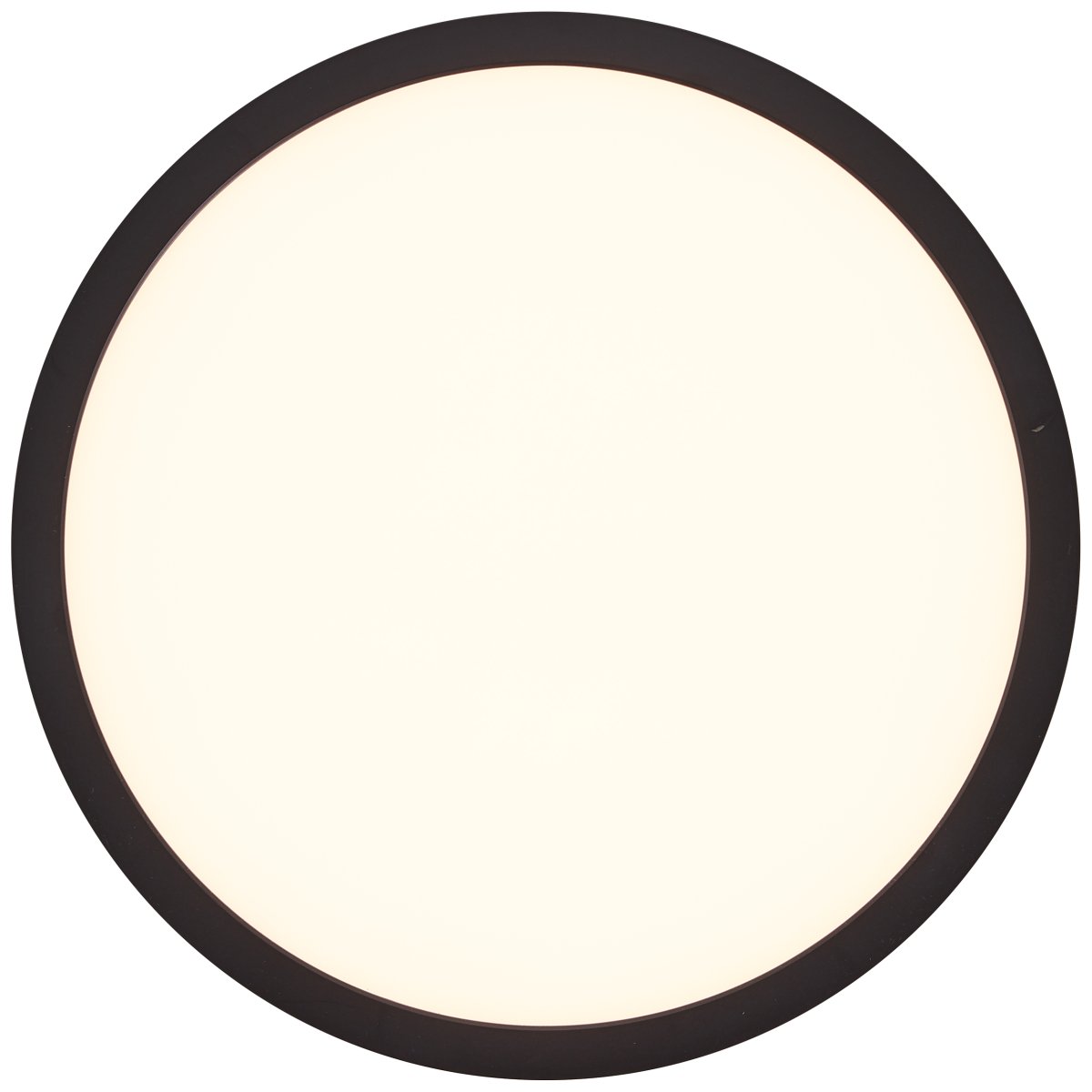 Tuco Ø25 Zwart plafondlamp Van Brilliant - Dankzij het minimalistische en efficiënte ontwerp past het zowel in werkkamers als in woonruimtes.