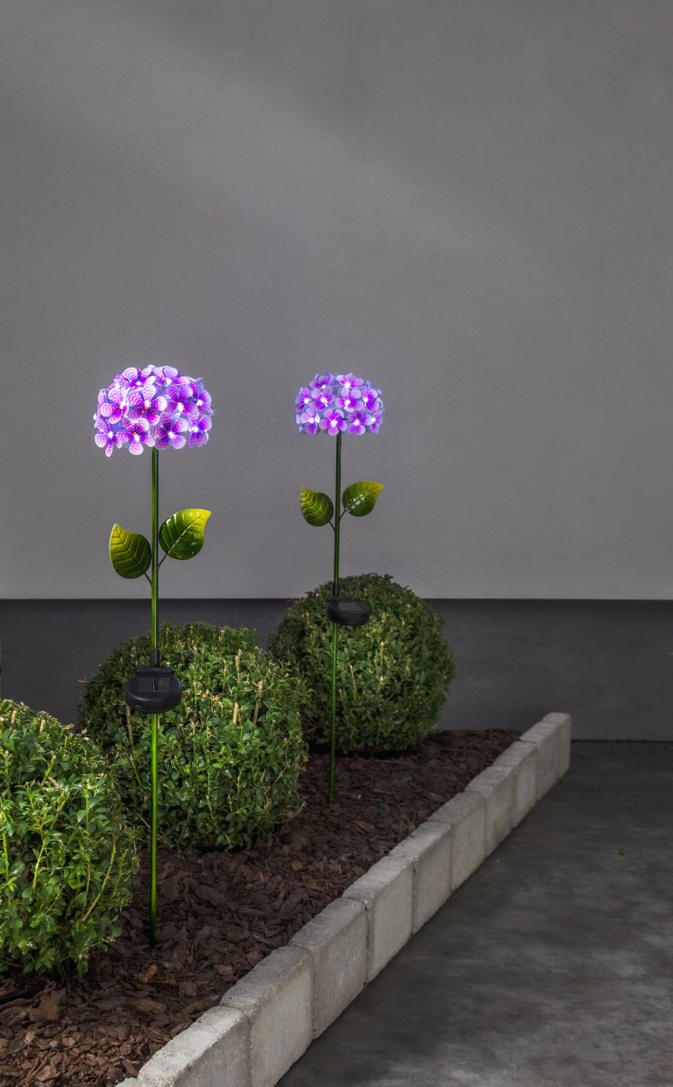 Hortensia Roze solarlamp Van Star Trading - De kleine lichtpuntjes in de vorm van dauwdruppels verlichten de bloem met een koelwitte gloed en cre&euml;ren 's avonds een sfeervol effect.