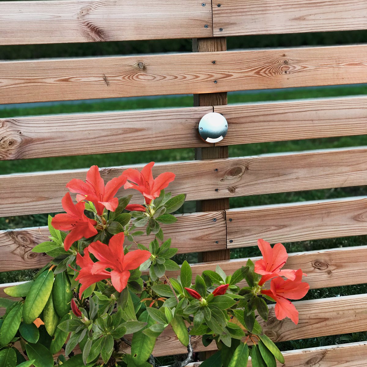 Zenit Zilver Van Lightson - Een unidirectionele wand- en terrasarmatuur die met zijn decoratieve warmwitte licht een uitstekende keuze is voor gevels, schuttingen, muren, terrassen en vlonders.