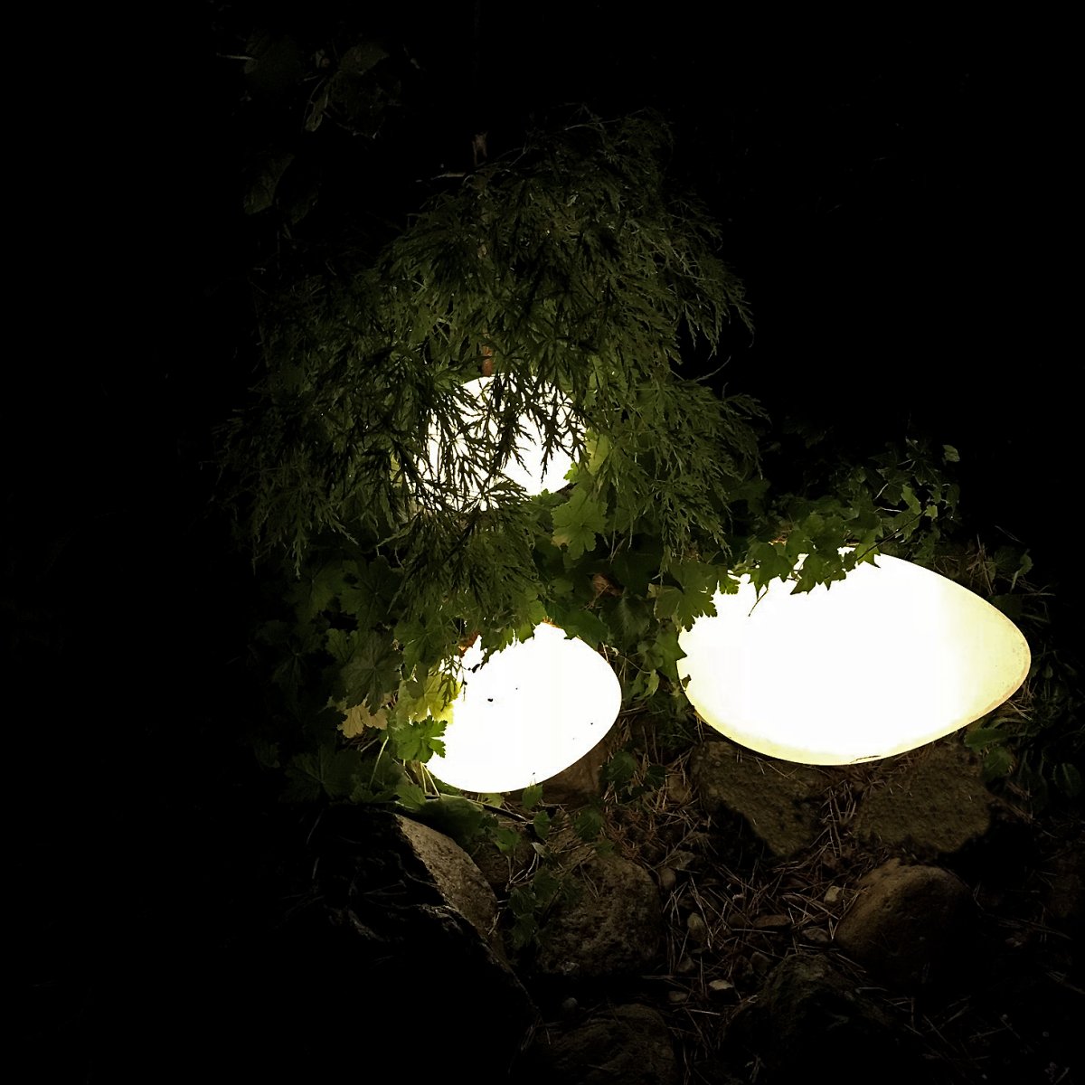 Stone XL Grijs Van Lightson - Het licht dringt door het groen van de planten heen en zorgt voor een gezellige gloed die de structuur van uw tuin versterkt.
