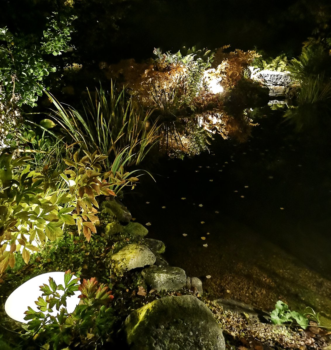 Stone XL Grijs Van Lightson - Het licht dringt door het groen van de planten heen en zorgt voor een gezellige gloed die de structuur van uw tuin versterkt.