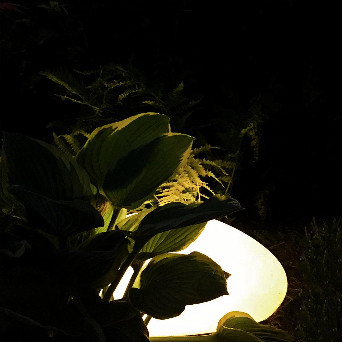 Stone XL Grijs Van Lightson - Het licht dringt door het groen van de planten heen en zorgt voor een gezellige gloed die de structuur van uw tuin versterkt.