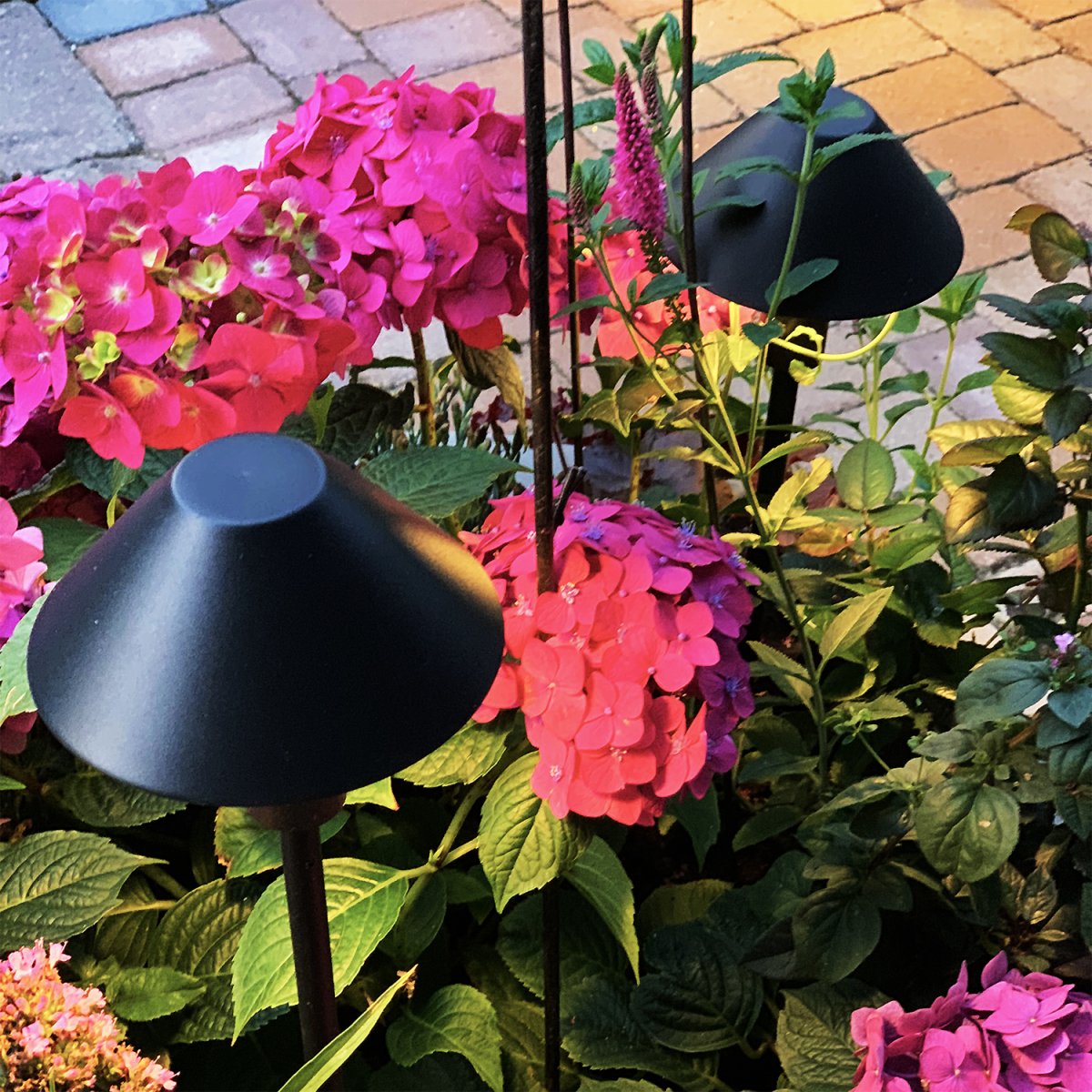 Apollo Zwart Van Lightson - Zonder de schaduw ontstaat er een lichtzuil die een algemene gloed creëert, wat effectief is in een laag siergras of rond de vijver in de tuin.