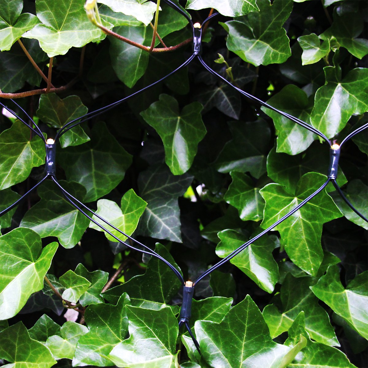 Net Donkergroen Van Lightson - Het net kan ook opgehangen worden aan bijvoorbeeld een schutting of een groenblijvende haag, die met voordeel het hele jaar door kan blijven hangen.