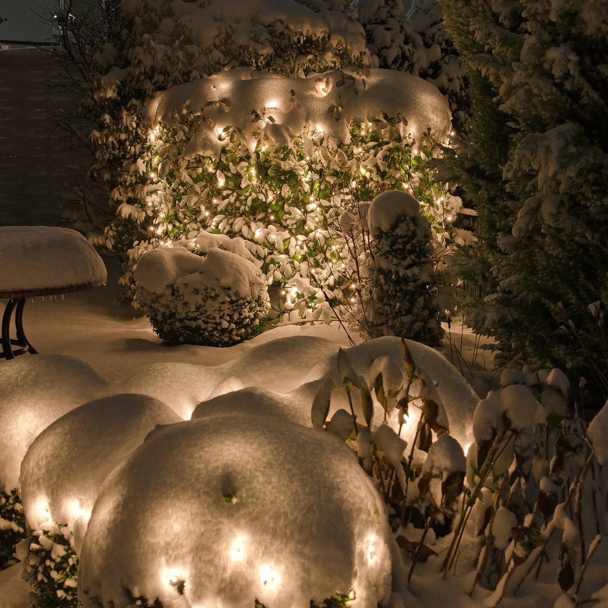 Net Donkergroen Van Lightson - Het net kan ook opgehangen worden aan bijvoorbeeld een schutting of een groenblijvende haag, die met voordeel het hele jaar door kan blijven hangen.