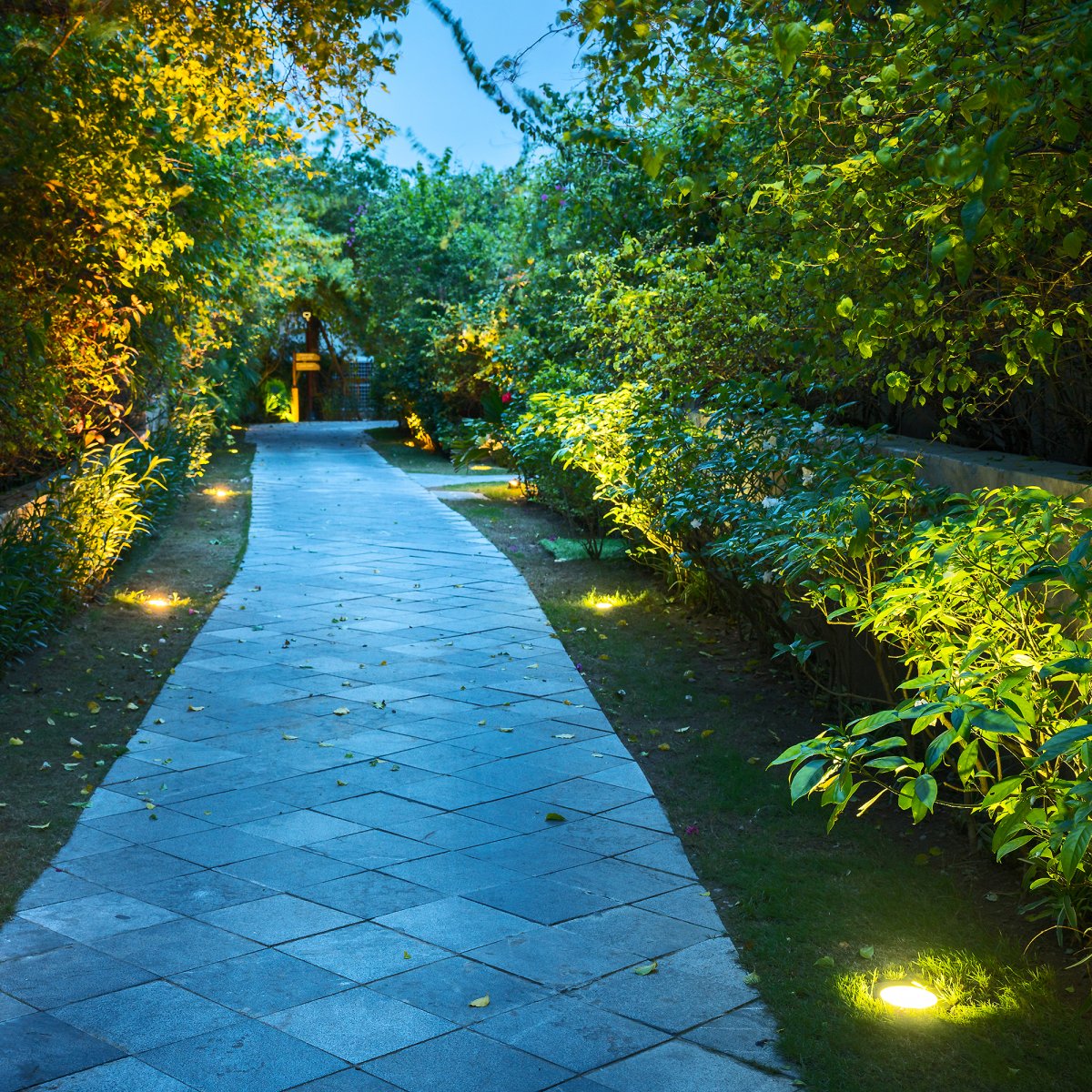 Capella Zwart Van Lightson - Zorg er vervolgens voor dat de lampen op gelijke en goede afstand van elkaar staan en test de afstand tot het object zelf om het gewenste effect te verkrijgen.