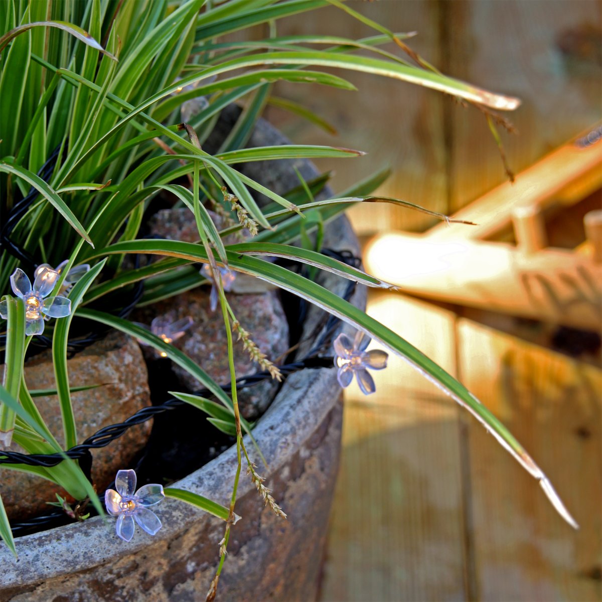 Bloom Zwart Van Lightson - Creëer een sfeervolle lichtinstallatie op uw terras of in uw tuin met Bloom: een lichtsnoer met kleine transparante bloemen bij elke lichtdiode.