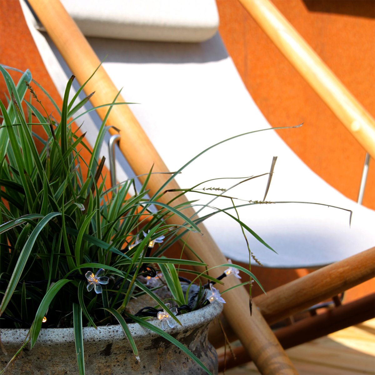 Bloom Zwart Van Lightson - Creëer een sfeervolle lichtinstallatie op uw terras of in uw tuin met Bloom: een lichtsnoer met kleine transparante bloemen bij elke lichtdiode.