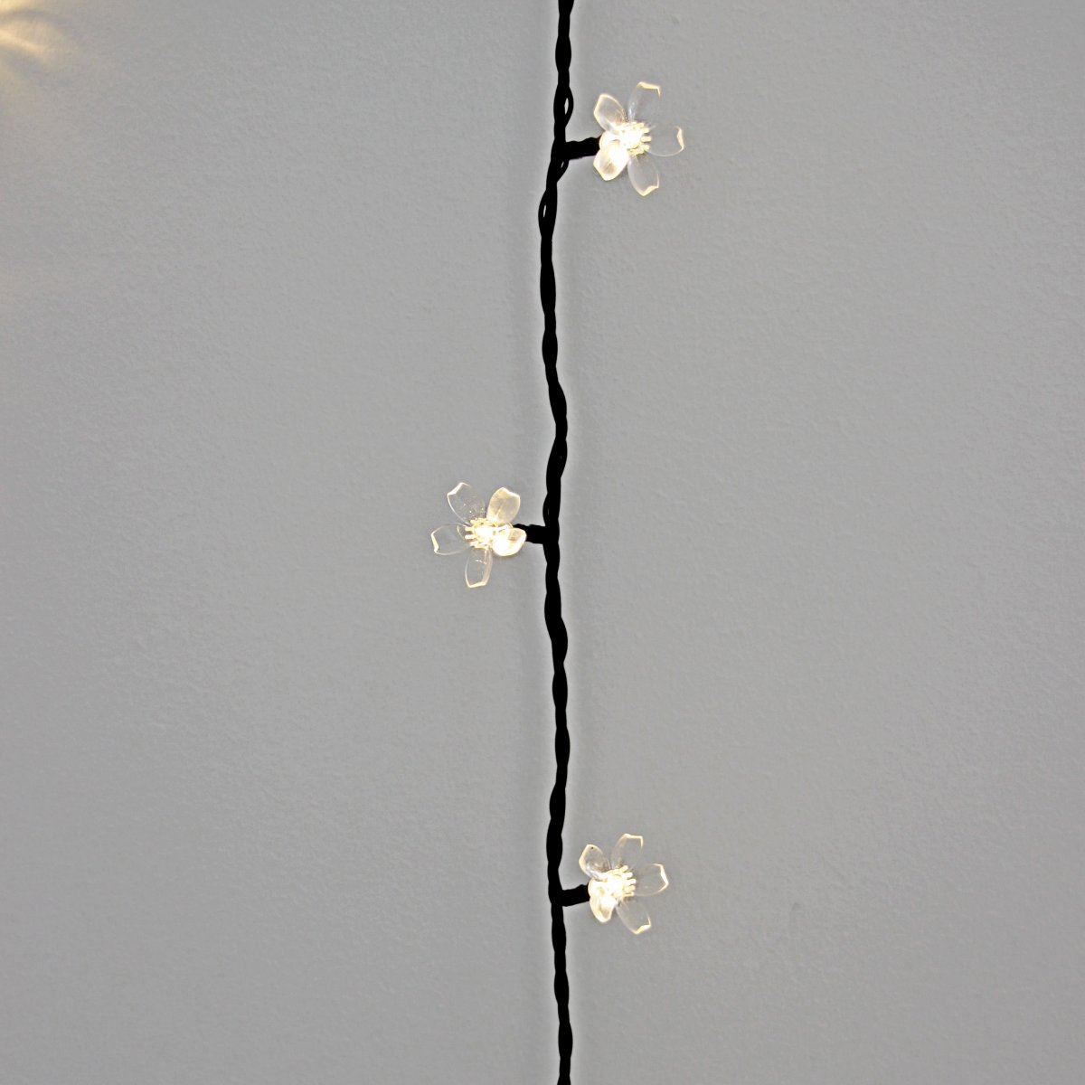 Bloom Zwart Van Lightson - Creëer een sfeervolle lichtinstallatie op uw terras of in uw tuin met Bloom: een lichtsnoer met kleine transparante bloemen bij elke lichtdiode.