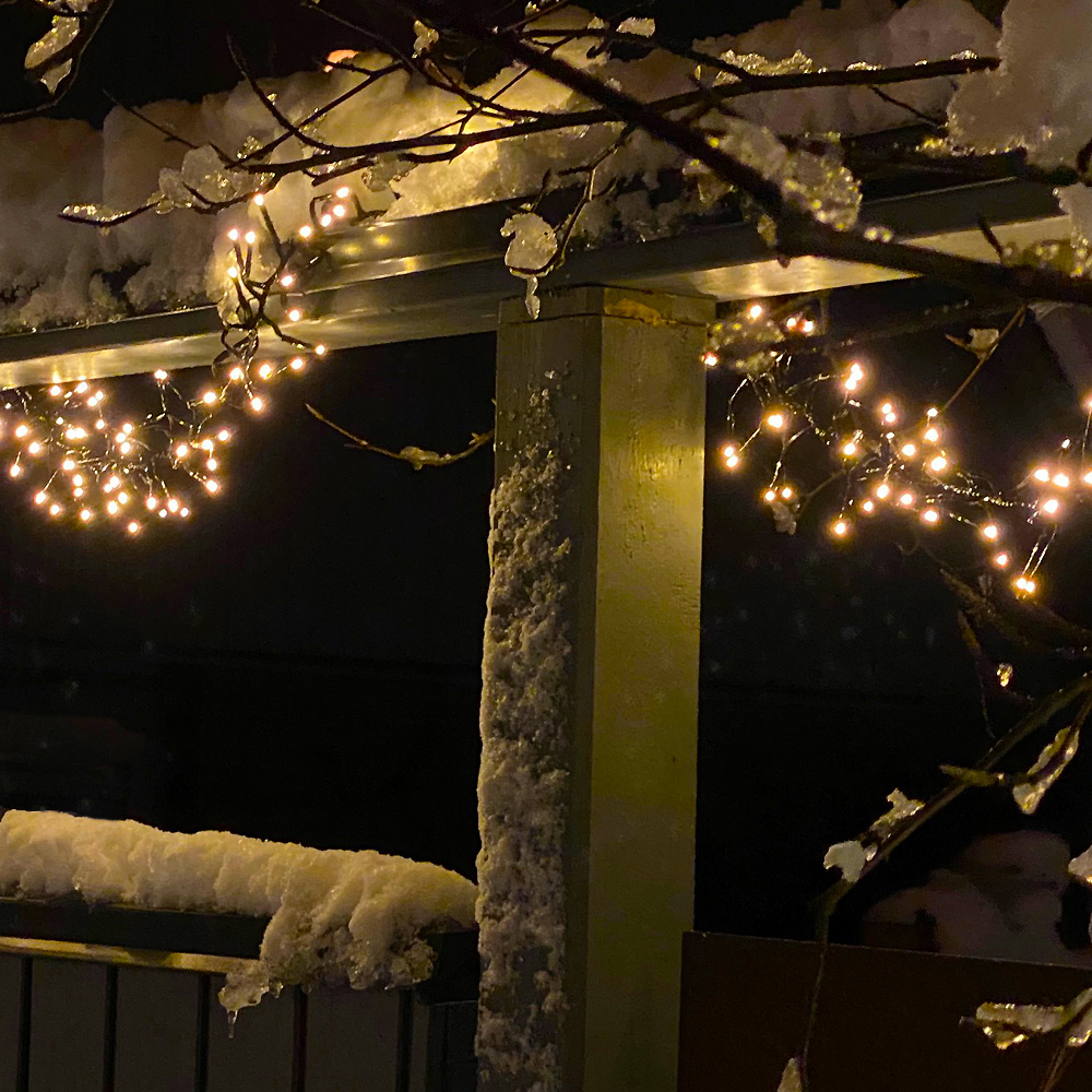 Bliss Zwart Van Lightson - Je kunt de lus ook om en in bijvoorbeeld een spar of berk om een werkelijk effectieve lichtbeleving te creëren.