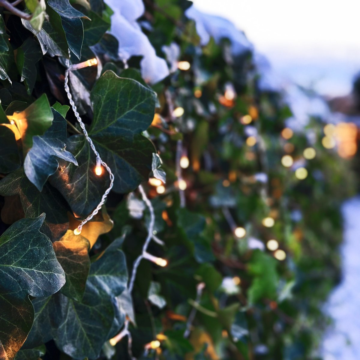 Ice Transparant Van Lightson - Met een totale lengte van 10m (+3m startkabel) is Ice perfect voor plaatsing in de schaduw van het dak / op; dit hek, maar ook langs hekken en muren.