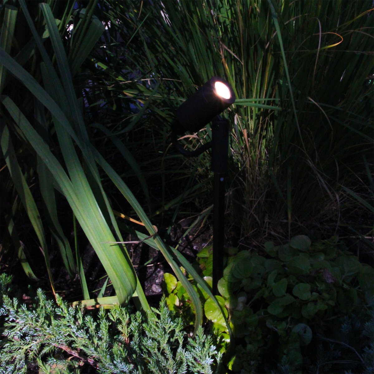 Astro Donkergrijs Van Lightson - Astro is een kleine flexibele lamp die geschikt is voor kleinere bomen, struiken en plekken waar u individuele objecten wilt verlichten, zoals een kunstwerk of een waterspiegel.