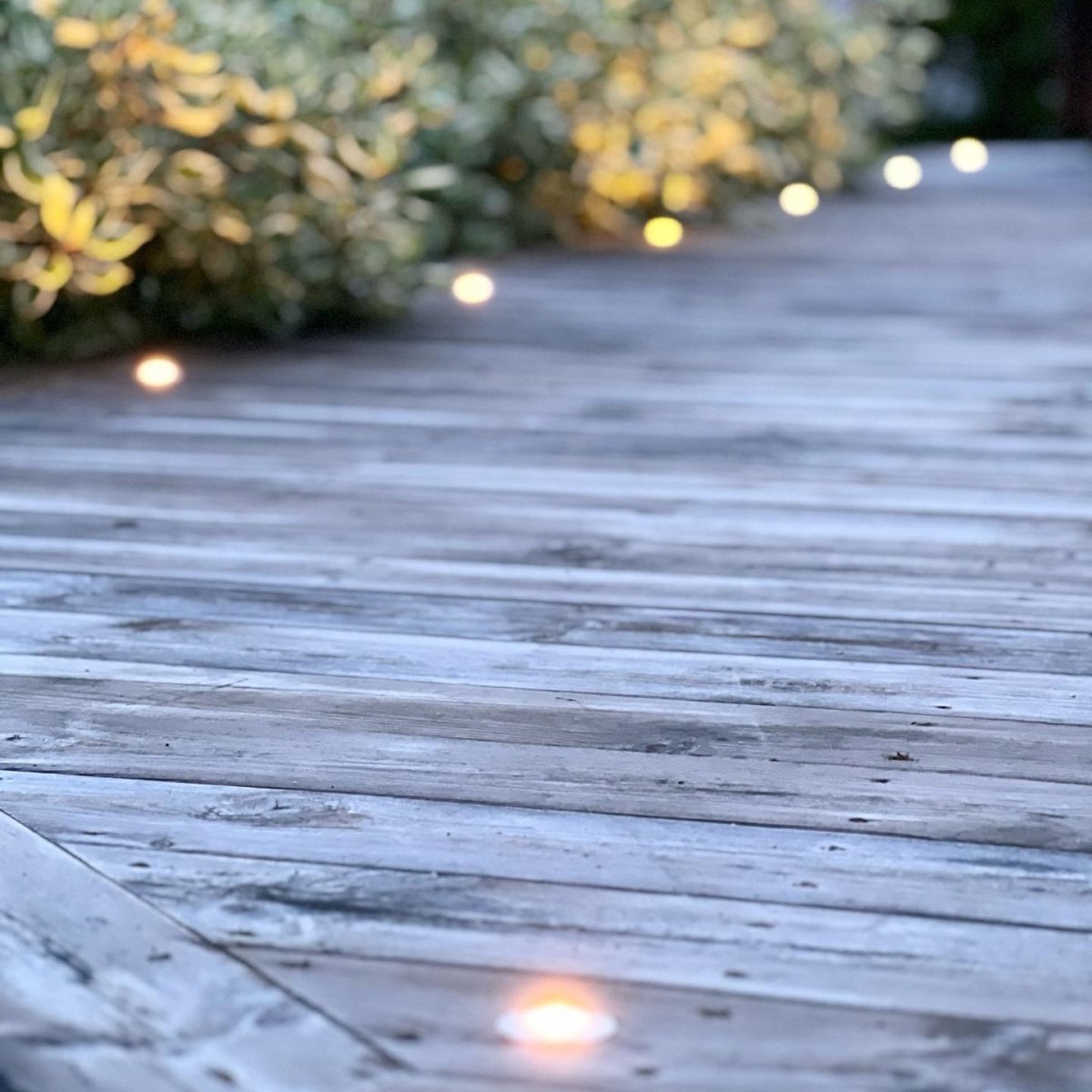 Dexter 10 Zilver Van Lightson - Op een brug of langs een pad kan een zachte lichtstroom ontstaan, terwijl het licht de weg wijst.