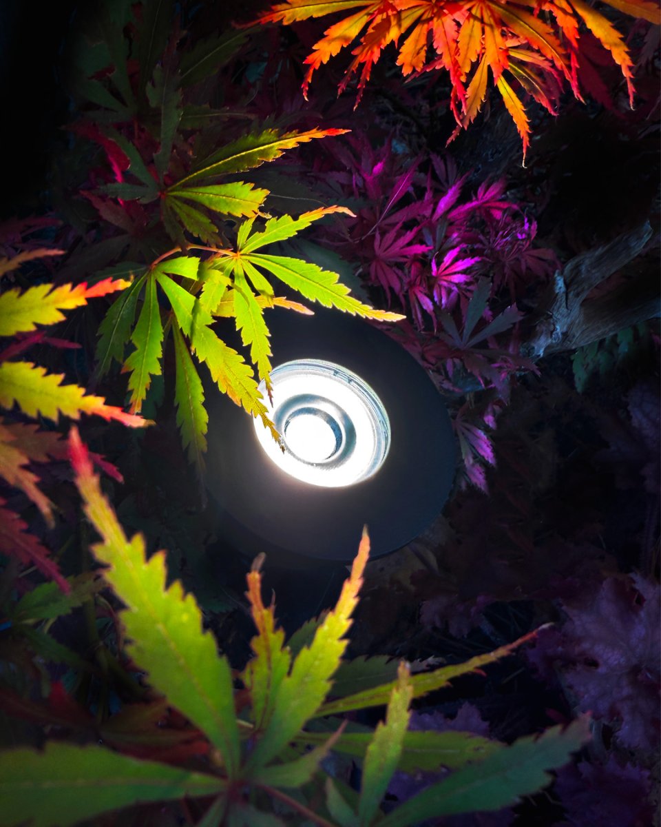 Luminius Donkergrijs Van Lightson - Een lamp met een smalle lichtbundel (15&deg;) die geschikt is voor bomen waarbij de stam moet worden benadrukt, of waar u wilt dat het licht tot aan de top reikt, bijvoorbeeld hoge dennen en berken.