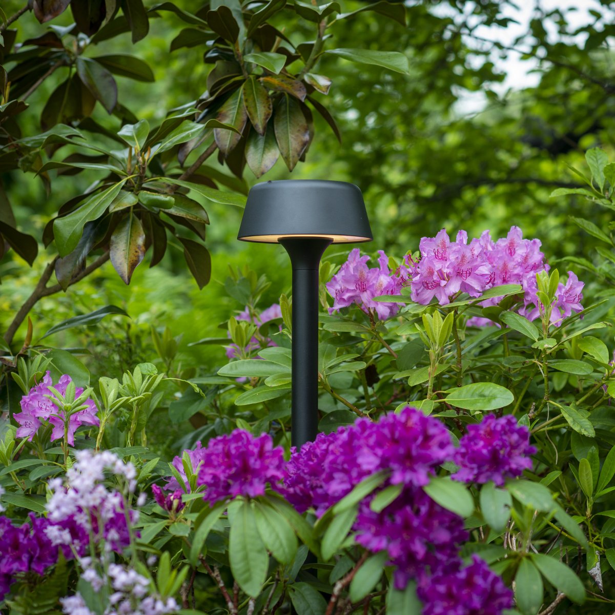 Valencia 80cm Zwart lichtpaaltjes Van Dyberg Larsen - Het ontwerp is stijlvol en modern en het licht valt in een aangename cirkel rondom de lamp, wat een sfeervolle indruk geeft.