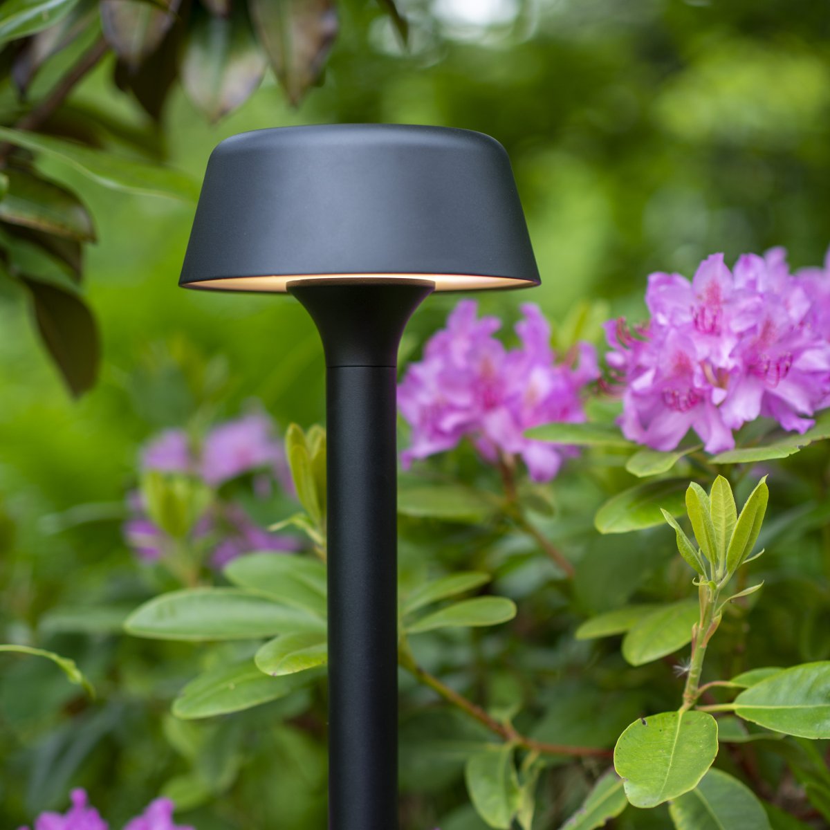 Valencia 80cm Zwart lichtpaaltjes Van Dyberg Larsen - Het ontwerp is stijlvol en modern en het licht valt in een aangename cirkel rondom de lamp, wat een sfeervolle indruk geeft.