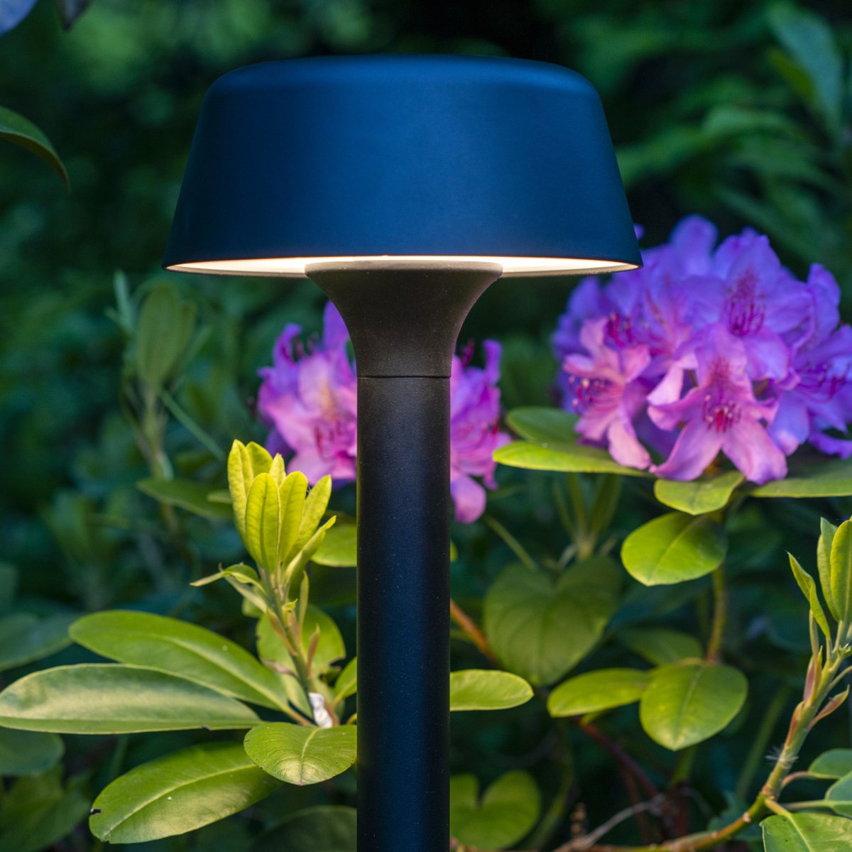 Valencia 80cm Zwart lichtpaaltjes Van Dyberg Larsen - Het ontwerp is stijlvol en modern en het licht valt in een aangename cirkel rondom de lamp, wat een sfeervolle indruk geeft.