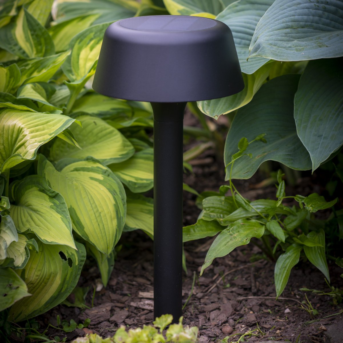 Valencia Zwart solarlamp Van Dyberg Larsen - Dankzij de pin aan de onderkant kan de lamp eenvoudig in de grond of in een pot worden geplaatst.