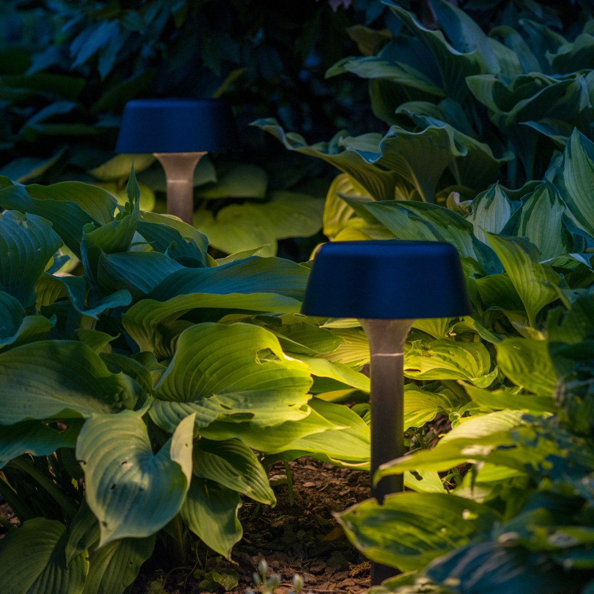 Valencia Zwart solarlamp Van Dyberg Larsen - Dankzij de pin aan de onderkant kan de lamp eenvoudig in de grond of in een pot worden geplaatst.