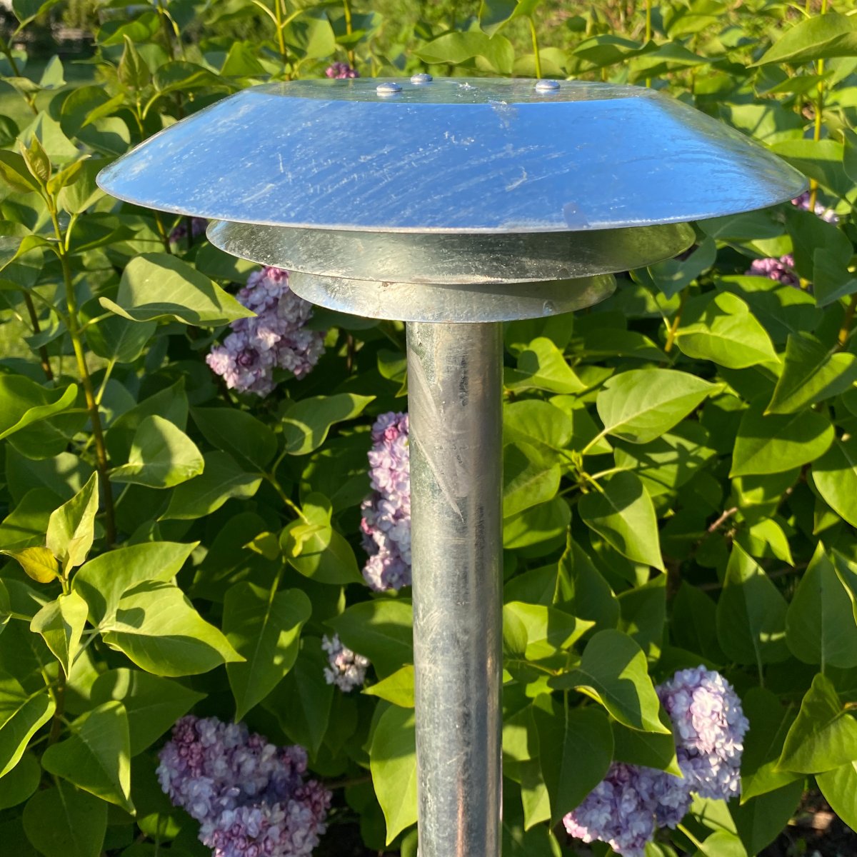 DL25 Gegalvaniseerd lichtpaaltjes Van Dyberg Larsen - Dankzij de combinatie van functionaliteit en duurzaamheid is deze lamp bestand tegen buitenomstandigheden en biedt hij betrouwbaar licht.
