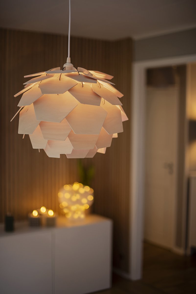 Carpatica Ø40 Natuur hanglamp Van Aneta Lighting - De plafondkap is gemaakt van wit kunststof en geschikt voor haakophanging.
