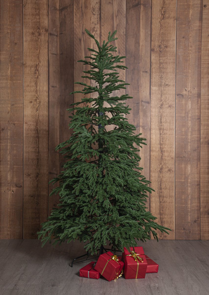 Edane 210cm Groente Van Star Trading - Edane is een levensechte kunstboom met een hoogte van 210 cm en licht hangende takken in een diepgroene kleur.